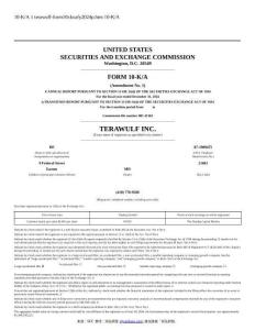 【SEC-2025行業(yè)研究報告】Form 10-K A TERAWULF INC.