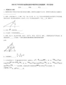 2025年下半年四川省滎經(jīng)縣初中數(shù)學(xué)單元測驗(yàn)題庫（奪分金卷）