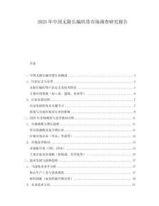 2025年中國無限長編織帶市場調查研究報告