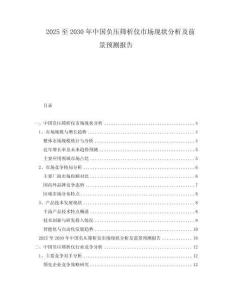 2025至2030年中國負壓篩析儀市場現狀分析及前景預測報告