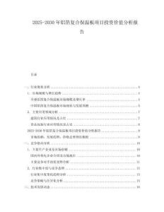 2025-2030年鋁箔復合保溫板項目投資價值分析報告