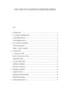 2025-2030年汽車改裝件項目投資價值分析報告