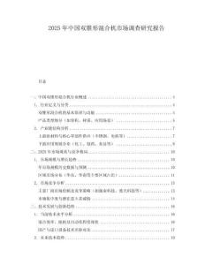 2025年中國(guó)雙錐形混合機(jī)市場(chǎng)調(diào)查研究報(bào)告