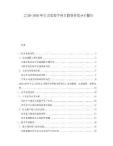 2025-2030年實(shí)芯套裝竿項目投資價值分析報告