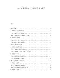 2025年中國聚光燈市場調查研究報告