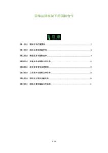 國際法律框架下的國際合作-洞察及研究