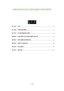 邊緣分割技術(shù)在多尺度特征融合中的應(yīng)用研究-洞察及研究