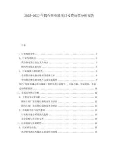 2025-2030年偶合繼電器項目投資價值分析報告