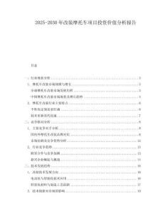 2025-2030年改裝摩托車項目投資價值分析報告