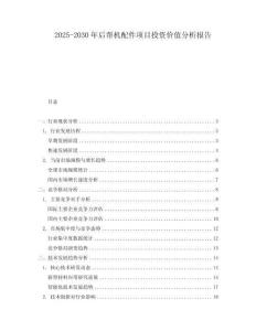 2025-2030年后幫機(jī)配件項(xiàng)目投資價(jià)值分析報(bào)告