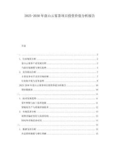 2025-2030年盤山云霧茶項目投資價值分析報告