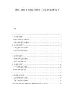 2025-2030年橡膠止動塊項目投資價值分析報告