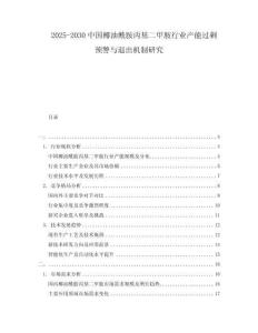 2025-2030中國椰油酰胺丙基二甲胺行業產能過剩預警與退出機制研究