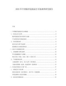 2025年中國(guó)脈沖氙航標(biāo)燈市場(chǎng)調(diào)查研究報(bào)告