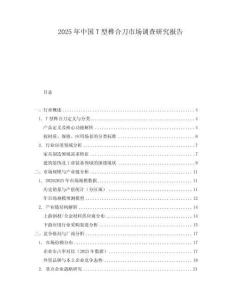 2025年中國T型榫合刀市場調(diào)查研究報告