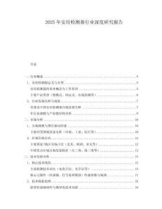 2025年安培檢測器行業深度研究報告