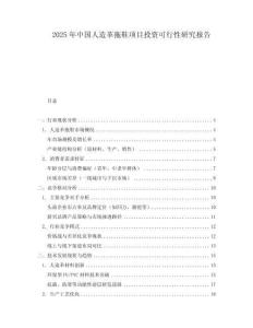 2025年中國人造革拖鞋項目投資可行性研究報告