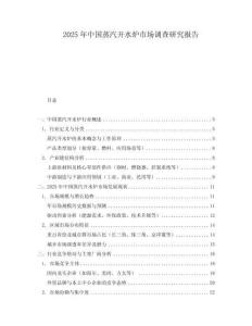 2025年中國蒸汽開水爐市場調(diào)查研究報告