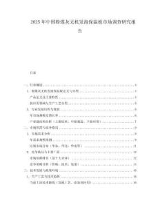 2025年中國粉煤灰無機(jī)發(fā)泡保溫板市場調(diào)查研究報告