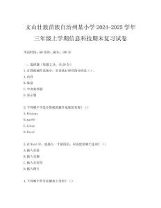 文山壯族苗族自治州某小學2024-2025學年三年級上學期信息科技期末復習試卷