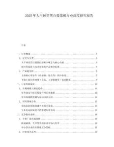 2025年大半球型黑白攝像機行業(yè)深度研究報告