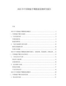 2025年中國鋼索手鐲數(shù)據(jù)監(jiān)測研究報告