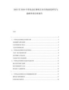 2025至2030中國(guó)電動(dòng)打磨機(jī)行業(yè)市場(chǎng)深度研究與戰(zhàn)略咨詢分析報(bào)告