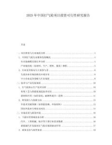 2025年中國打氣輪項目投資可行性研究報告