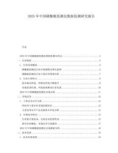 2025年中國磷酸根監測儀數據監測研究報告