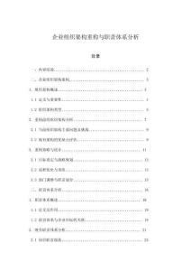 企業(yè)組織架構(gòu)重構(gòu)與職責(zé)體系分析
