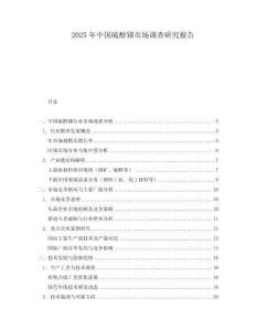 2025年中國(guó)硫醇銻市場(chǎng)調(diào)查研究報(bào)告