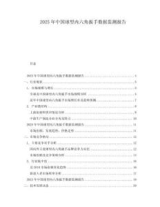 2025年中國球型內六角扳手數據監測報告