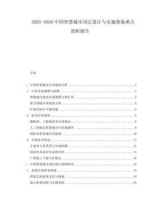 2025-2030中國智慧城市頂層設計與實施落地難點剖析報告