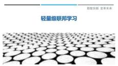 輕量級聯邦學習最佳分析