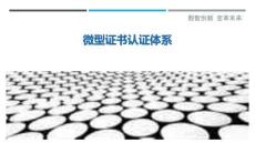 微型證書認(rèn)證體系最佳分析