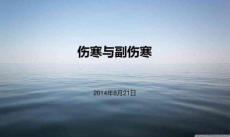 伤寒与副伤寒