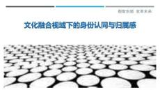 文化融合視域下的身份認同與歸屬感最佳分析