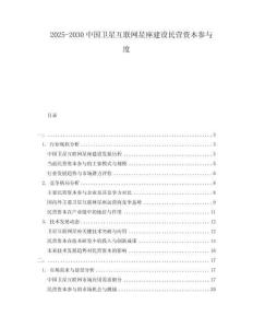 2025-2030中國衛(wèi)星互聯(lián)網(wǎng)星座建設民營資本參與度
