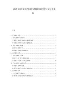 2025-2030年雙色鋼柄安裝錘項目投資價值分析報告