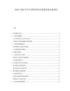 2025-2030年中長型纖維項目投資價值分析報告