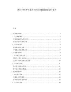 2025-2030年相拼扣項目投資價值分析報告