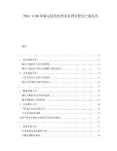 2025-2030年輸電轉角角塔項目投資價值分析報告
