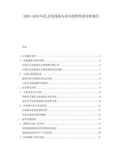 2025-2030年孔式電線接頭項(xiàng)目投資價(jià)值分析報(bào)告