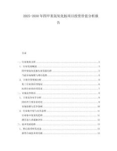 2025-2030年四甲基氫氧化胺項目投資價值分析報告