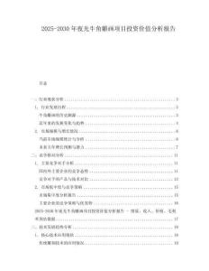 2025-2030年夜光牛角雕畫項目投資價值分析報告