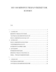 2025-2030磁鐵材料在節能家電中的能效提升貢獻度分析報告