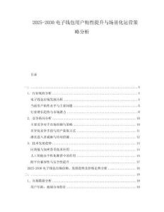 2025-2030電子錢包用戶粘性提升與場(chǎng)景化運(yùn)營(yíng)策略分析