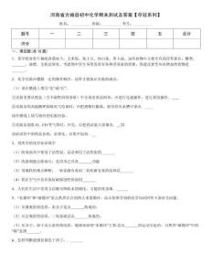 河南省方城縣初中化學期末測試及答案【奪冠系列】