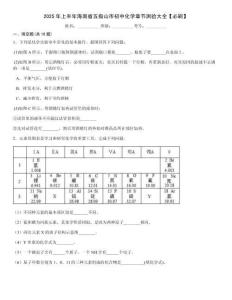 2025年上半年海南省五指山市初中化學章節測驗大全【必刷】