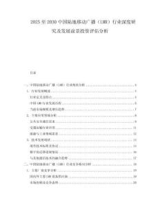 2025至2030中國陸地移動(dòng)廣播（LMR）行業(yè)深度研究及發(fā)展前景投資評估分析